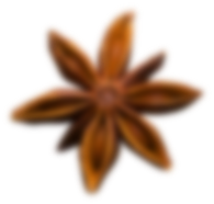 star-flower